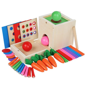 6-1 MultiSkill Montessori Wooden Activity Box - Petite Cove 